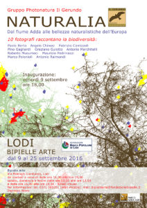 EVENTI