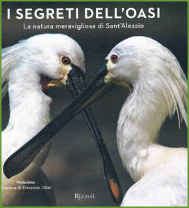 I-segreti-dellOasi-1-1