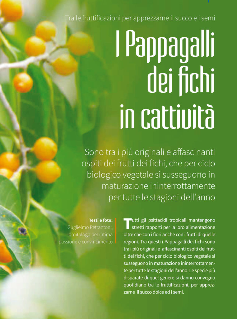 psittacidi giugno.pdf