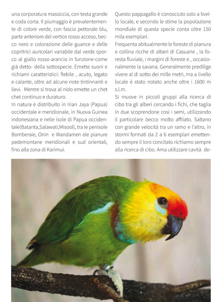 psittacidi giugno.pdf