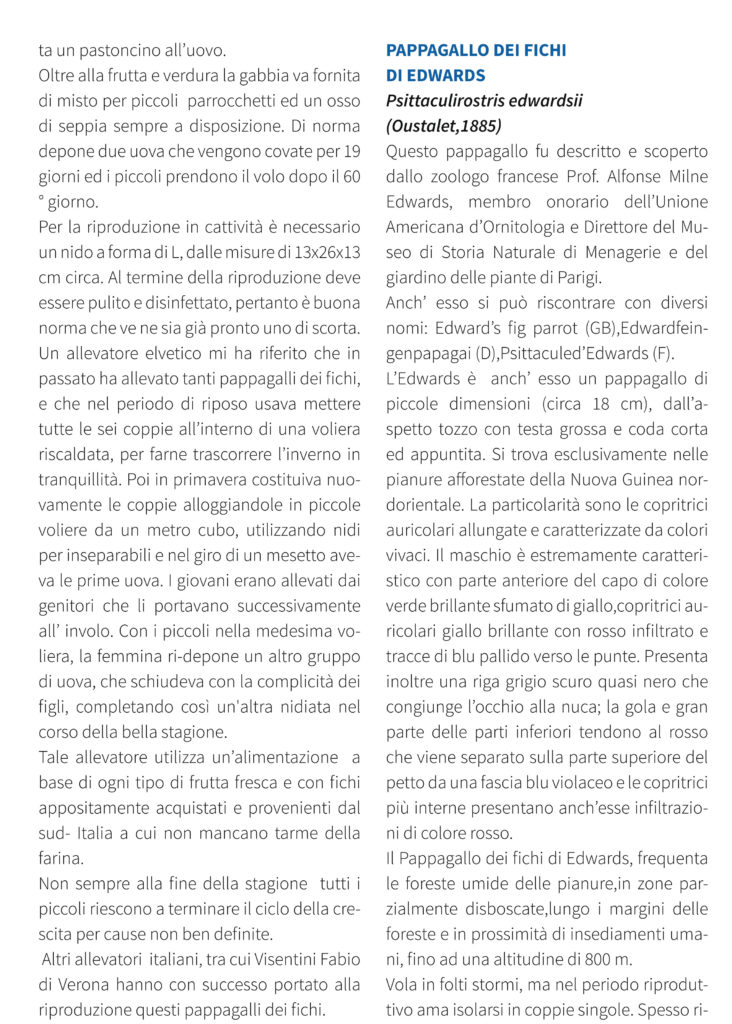 psittacidi giugno.pdf