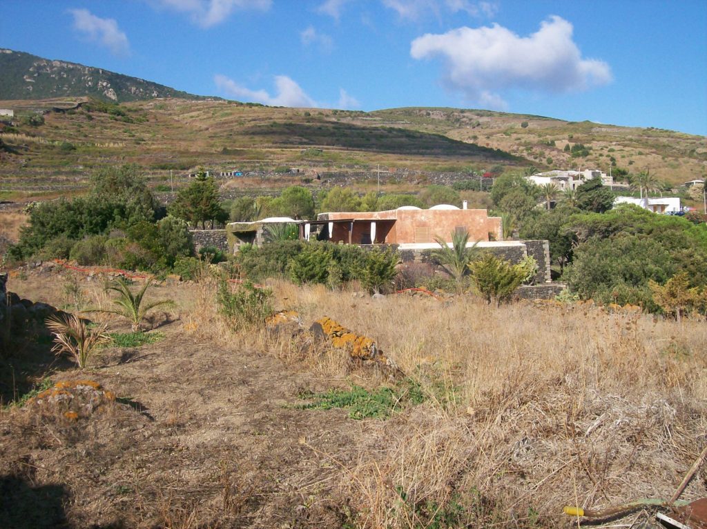 La macchia mediterranea, sullo sfondo Montagna Grande. Località Mueggen.(est isola)